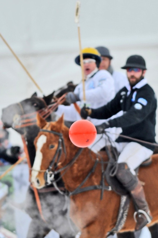 Polo na śniegu