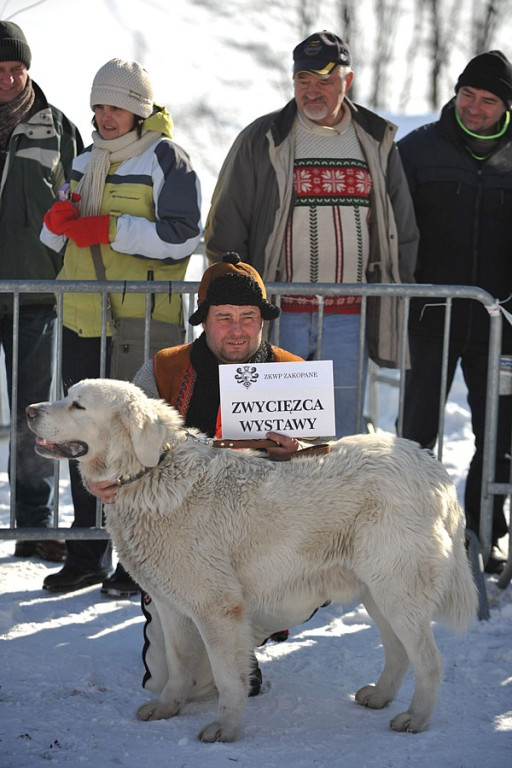 40. Góralski Karnawał w Bukowinie Tatrzańskiej
