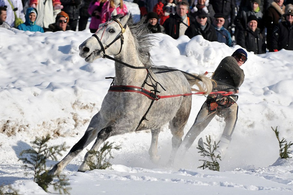 Parada Gazdowska i Kumoterki w Bukowinie Tatrzańskiej