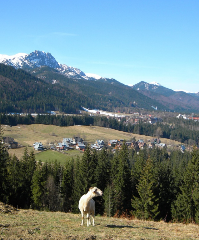 Zimowe Tatry na początku upalnego maja