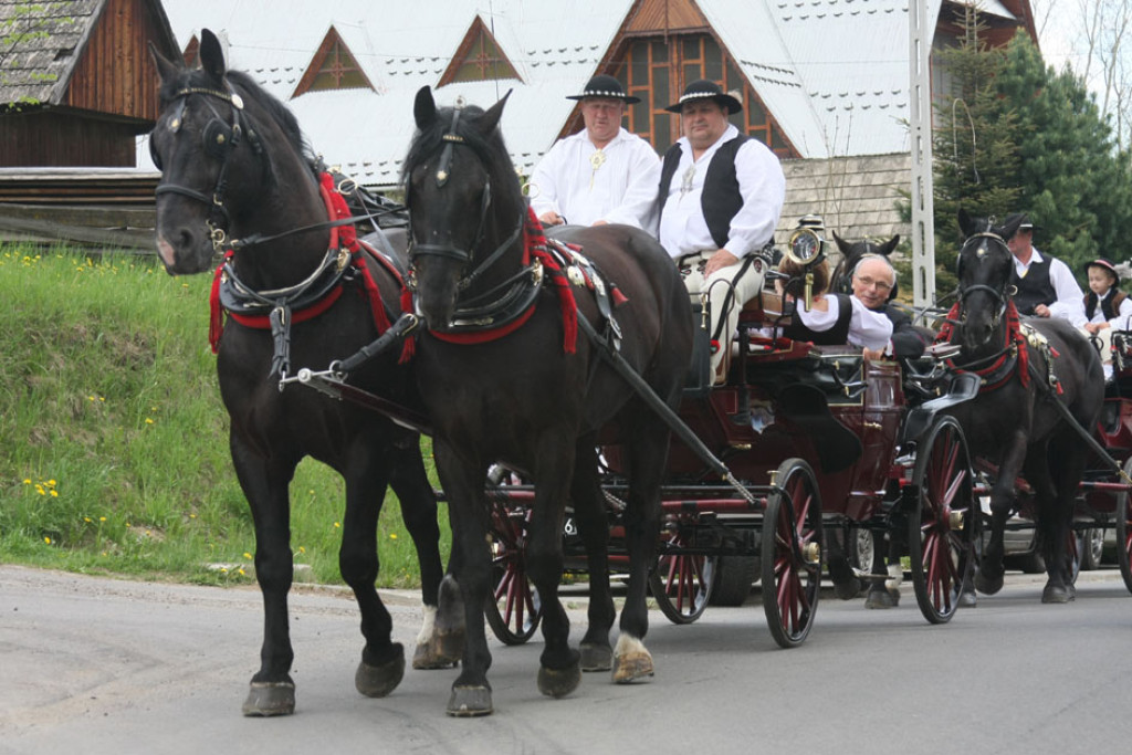 Jubileusz kapłaństwa ks. Tadeusza Juchasa