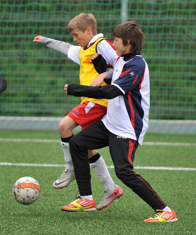 Mini Euro 2012