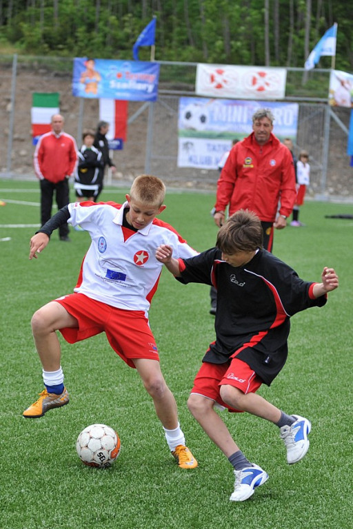 Mini Euro 2012