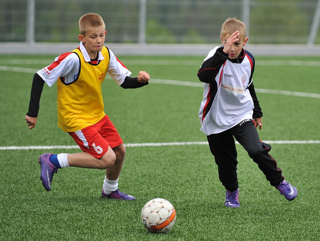 Mini Euro 2012