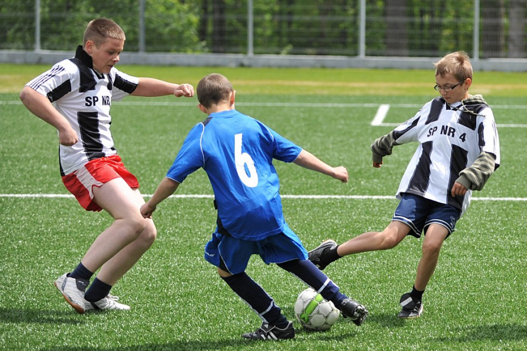 Mini Euro 2012