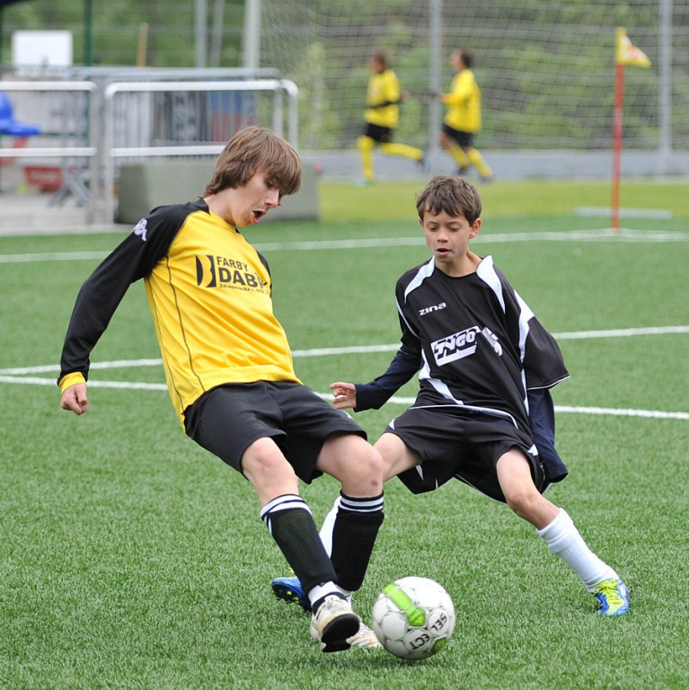 Mini Euro 2012
