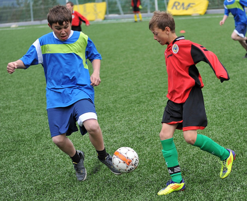 Mini Euro 2012