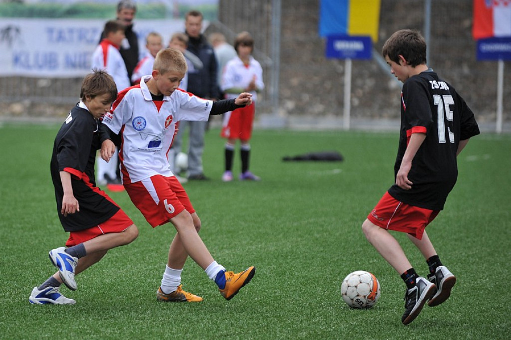 Mini Euro 2012