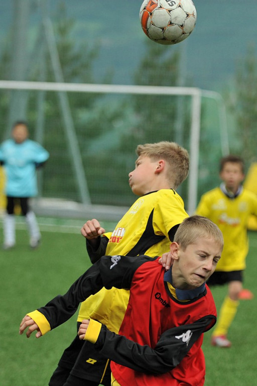 Mini Euro 2012