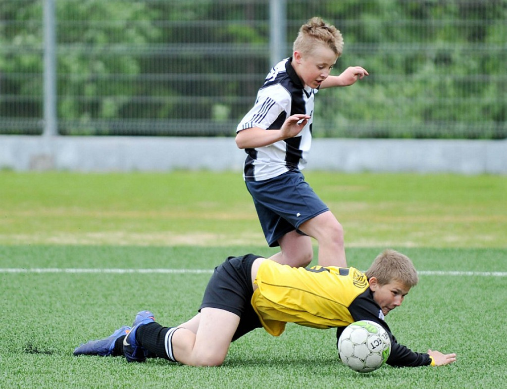 Mini Euro 2012