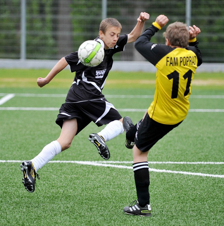 Mini Euro 2012