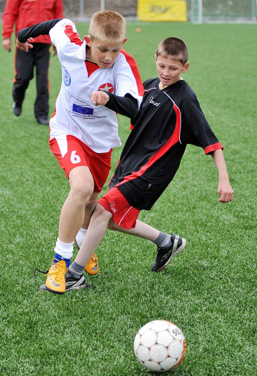 Mini Euro 2012