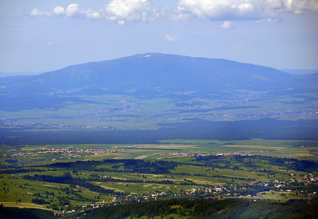 Czerwone Wierchy zakwitły