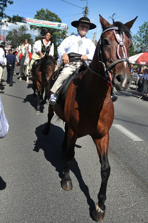 Sabałowe Bajania 2012