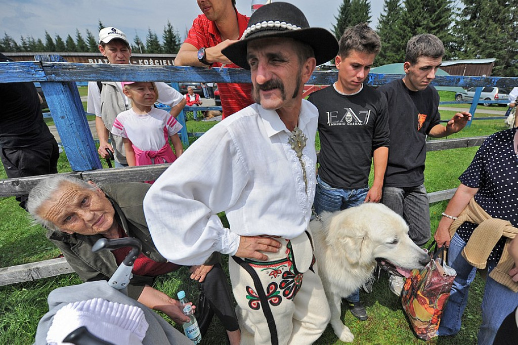 Psie piękności w Kirach