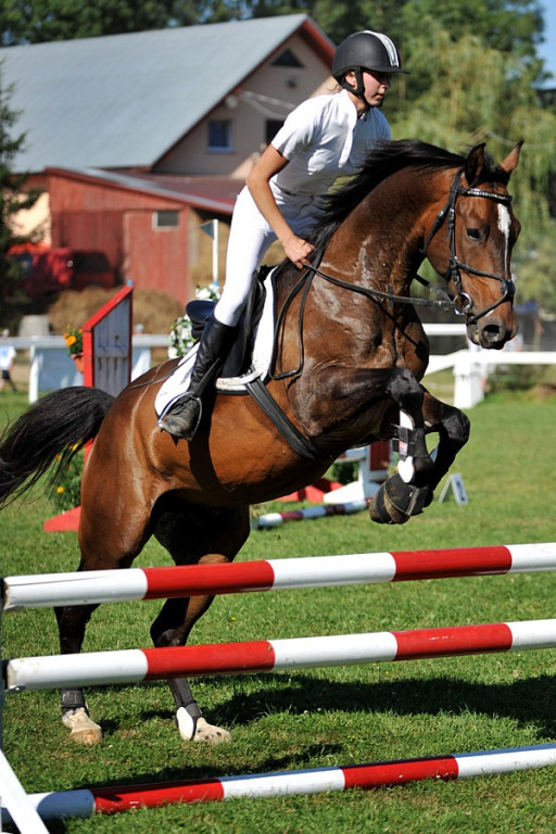 Rogoźnik: Skoki po zwycięstwo