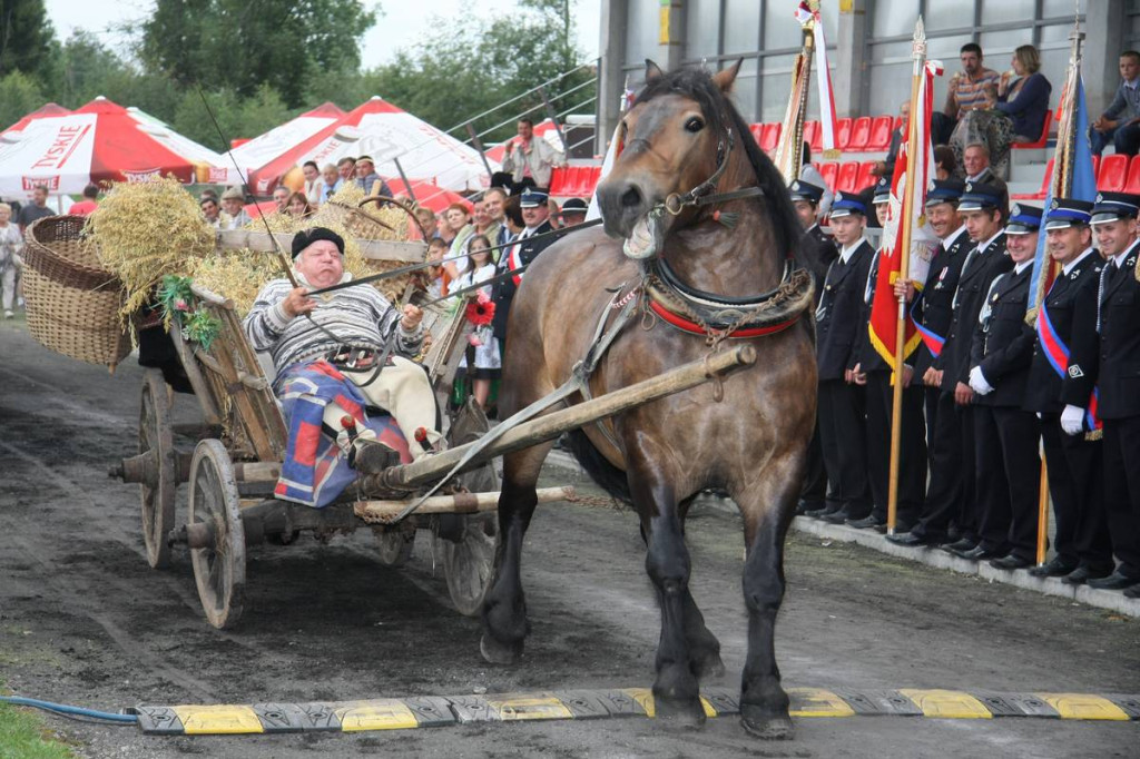 Hołdymas 2012: Wielkie dożynkowe świętowanie