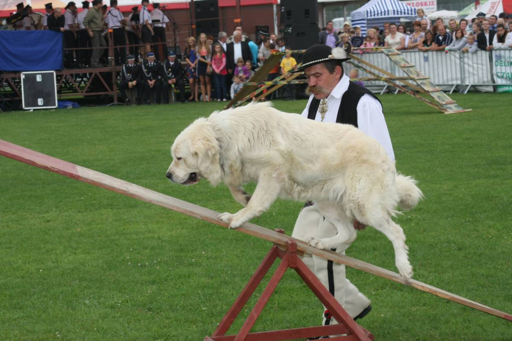 Hołdymas 2012: Wielkie dożynkowe świętowanie