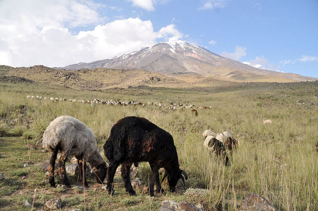 Ararat - biblijna góra