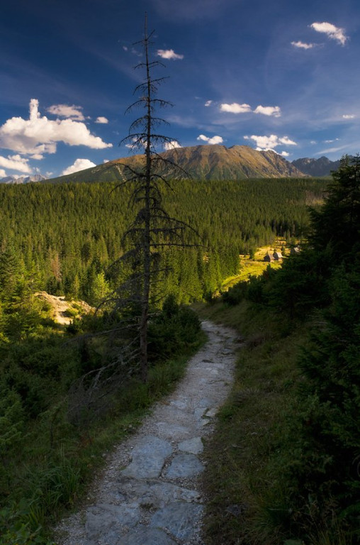 Wycieczka na Kopieniec
