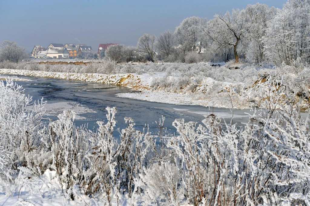 Mroźne poranki