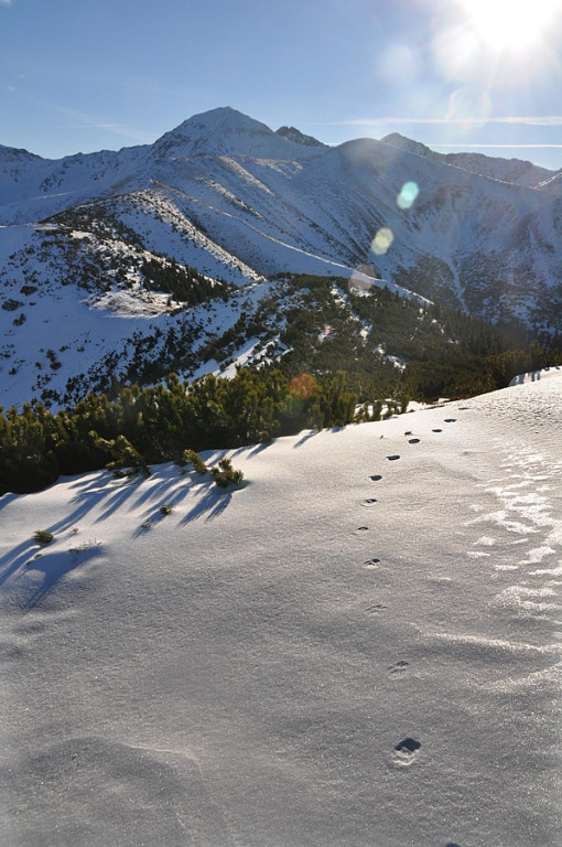 Tatry Zachodnie: Grudniowy spacer na Grzesia