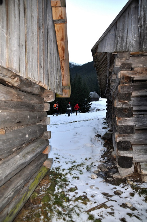 Tatry Zachodnie: Grudniowy spacer na Grzesia