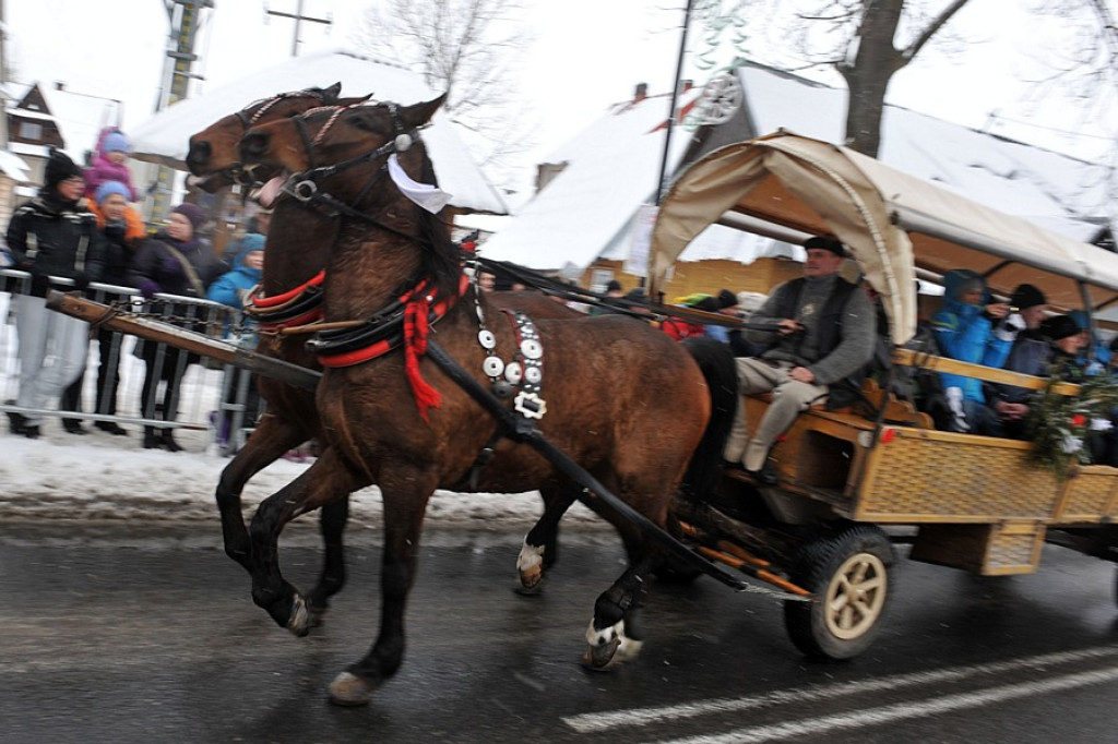 41. Karnawał Góralski w Bukowinie Tatrzańskiej