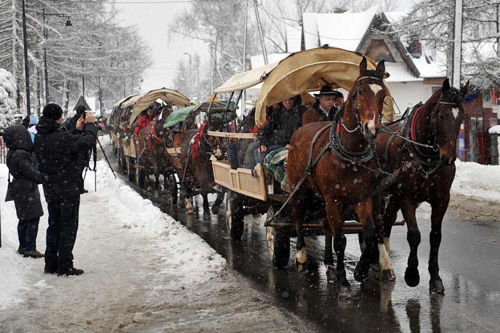 41. Karnawał Góralski w Bukowinie Tatrzańskiej