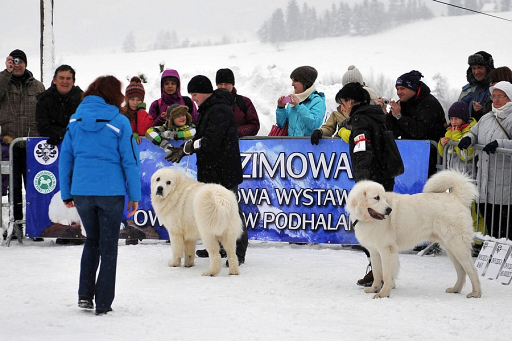 41. Karnawał Góralski w Bukowinie Tatrzańskiej