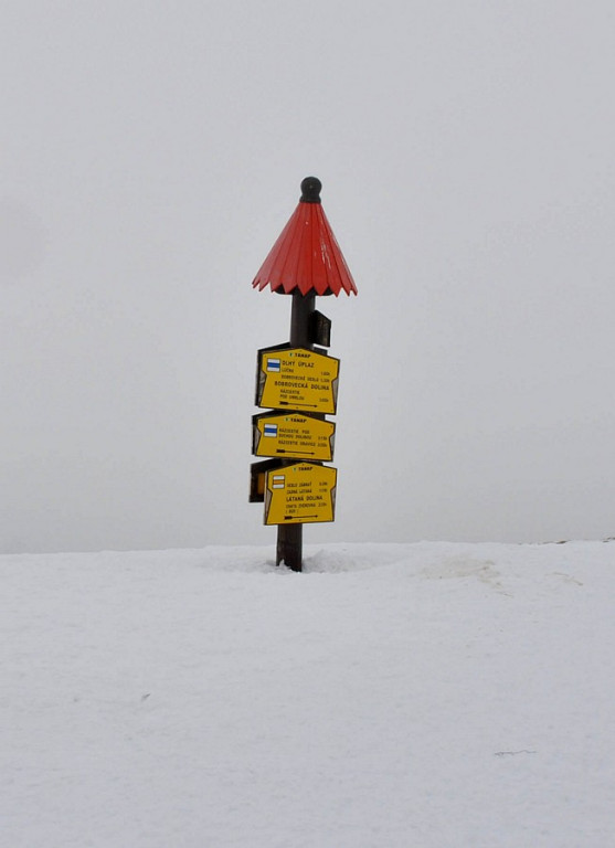 Tatry Zachodnie: W drodze na Wołowiec