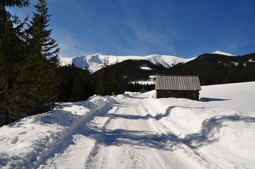Tatry Zachodnie: W drodze na Wołowiec