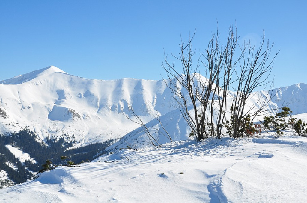 Tatry Zachodnie: W drodze na Wołowiec