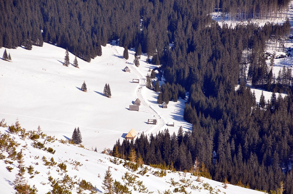 Tatry Zachodnie: W drodze na Wołowiec