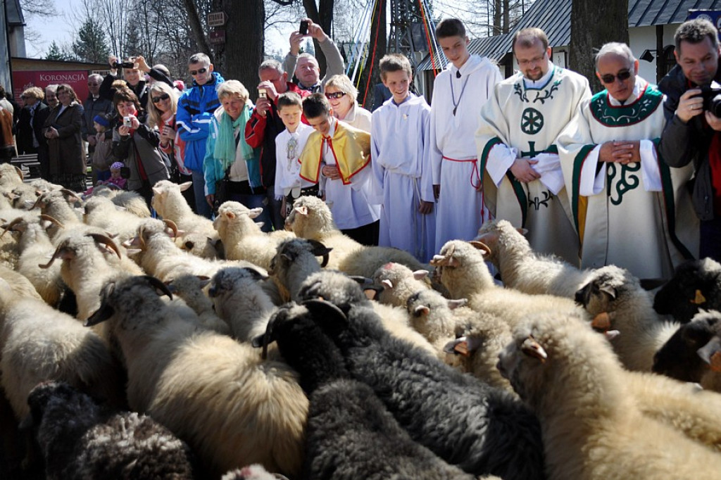 Msza Bacowska w Ludźmierzu