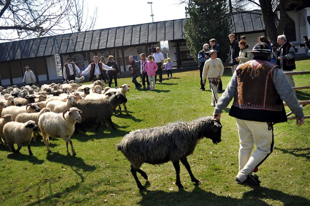 Msza Bacowska w Ludźmierzu