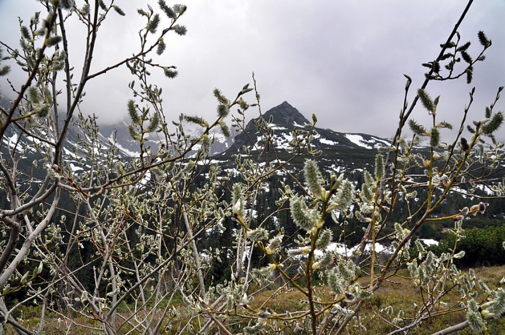 Tatry w deszczu, mgle i chmurach