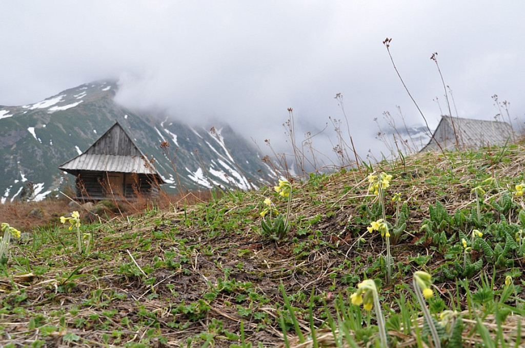 Tatry w deszczu, mgle i chmurach