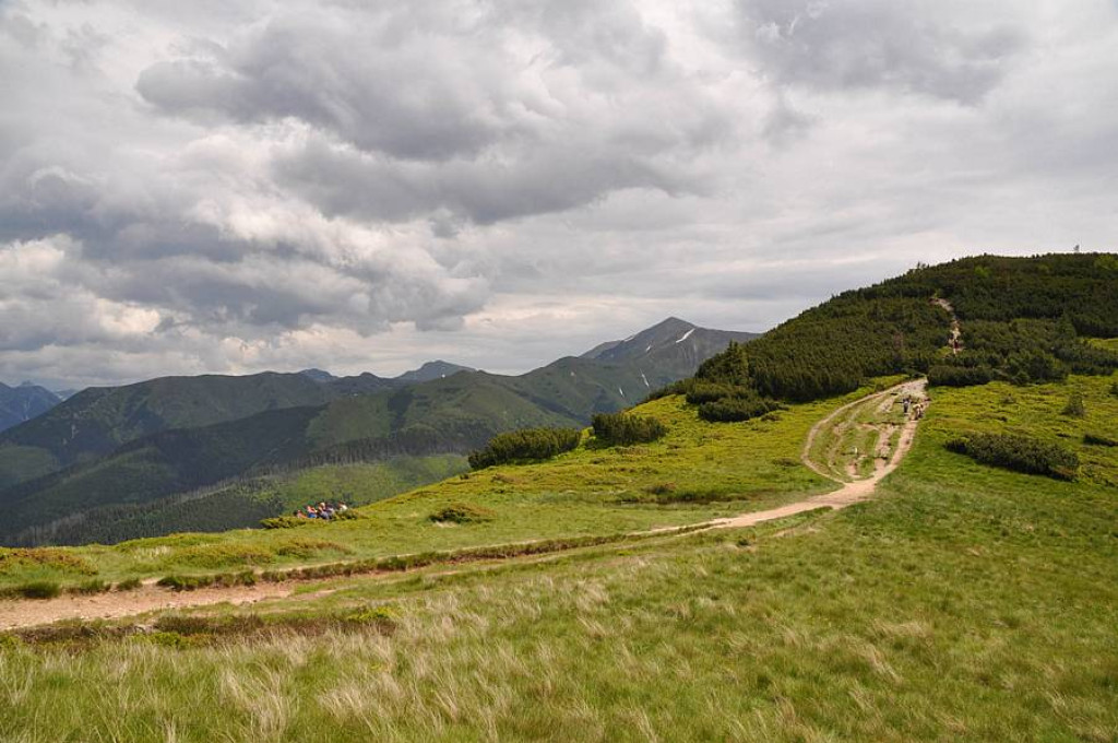 Przyjaźń sąsiedzka na 1653 m