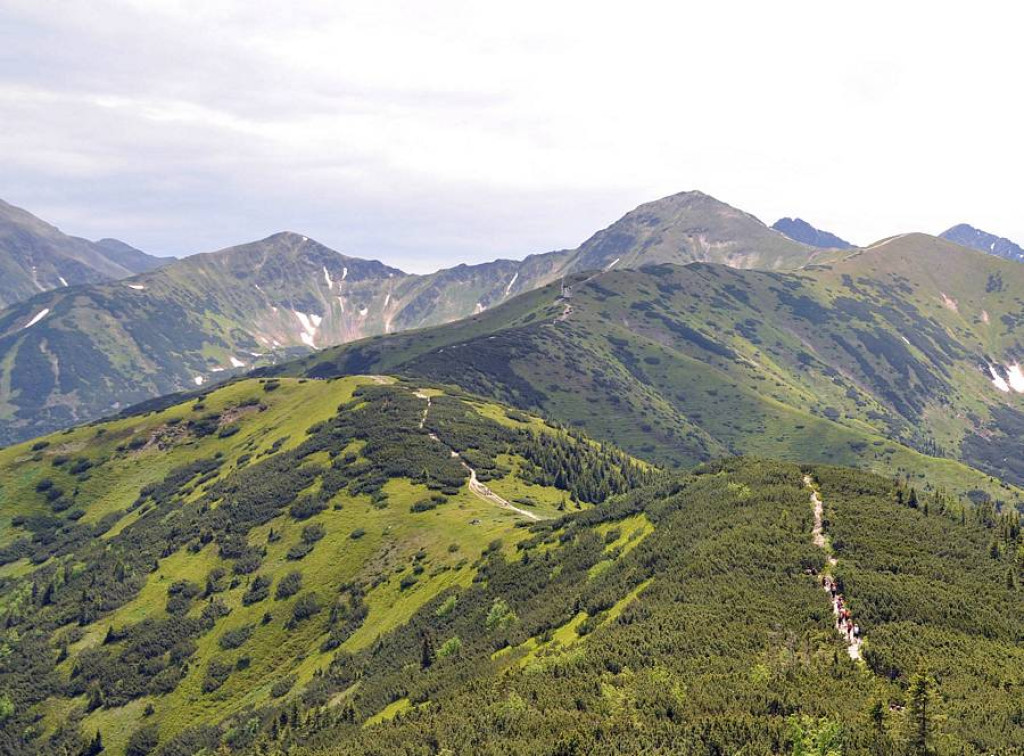 Przyjaźń sąsiedzka na 1653 m