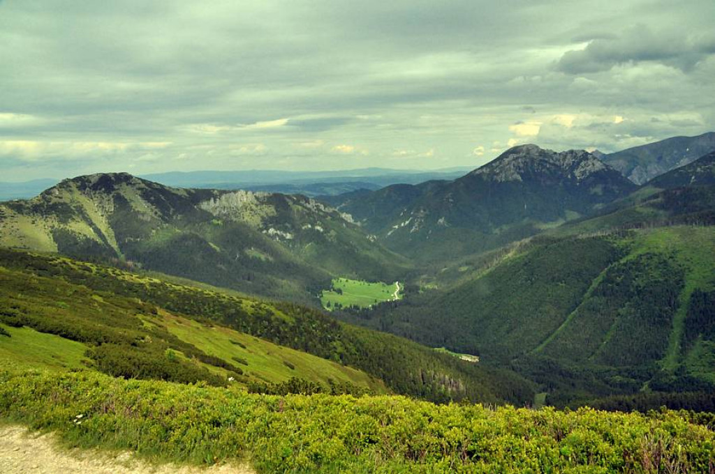 Przyjaźń sąsiedzka na 1653 m
