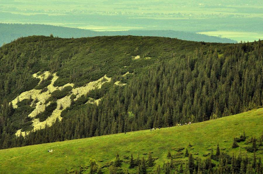 Przyjaźń sąsiedzka na 1653 m