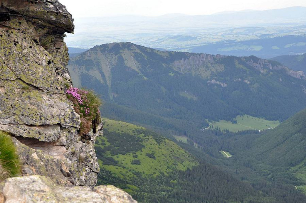Przyjaźń sąsiedzka na 1653 m