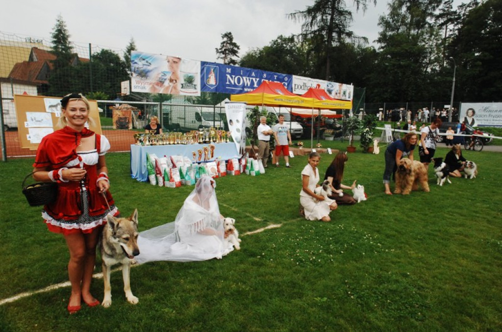 Nowy Targ: Psie piękności na „kole”