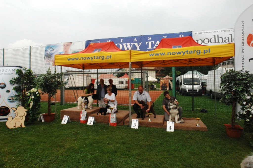 Nowy Targ: Psie piękności na „kole”