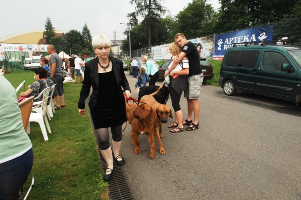 Nowy Targ: Psie piękności na „kole”