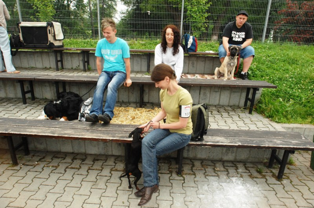 Nowy Targ: Psie piękności na „kole”