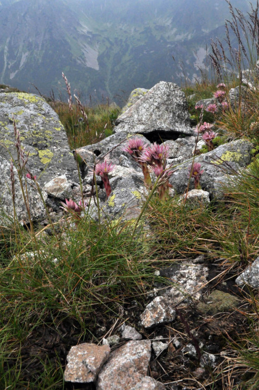 Tatry w deszczu, mgle i chmurach...