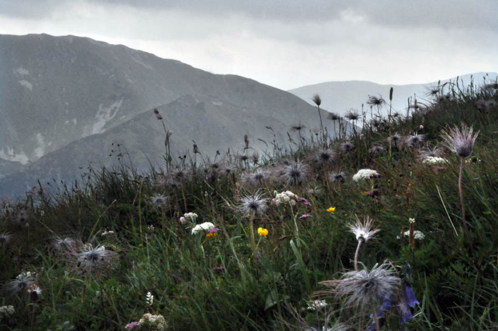 Tatry w deszczu, mgle i chmurach...
