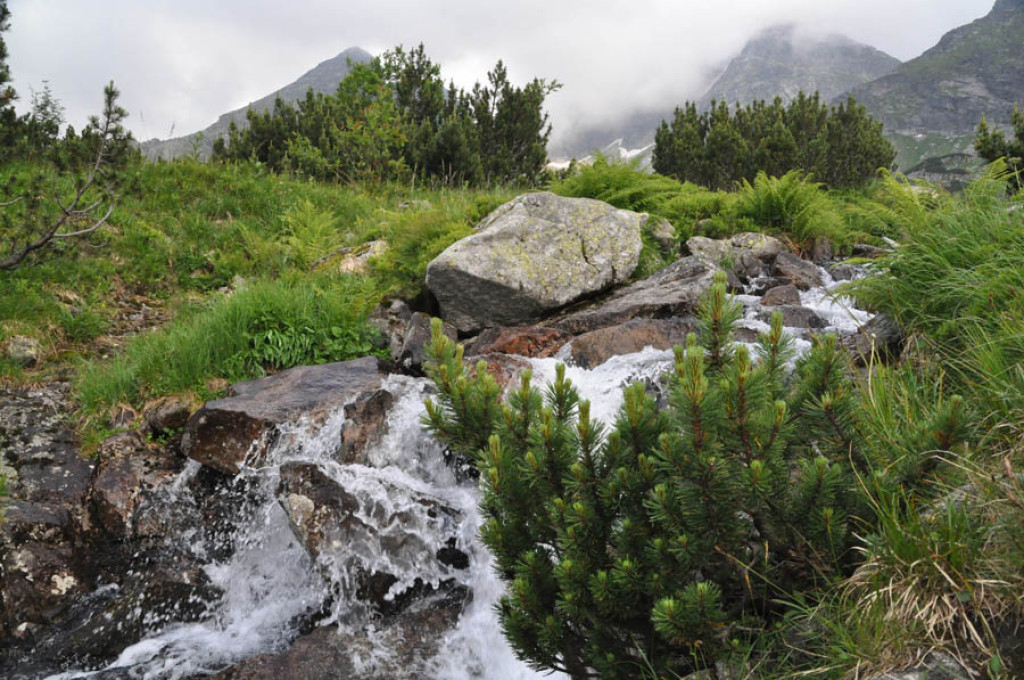 Tatry w deszczu, mgle i chmurach...